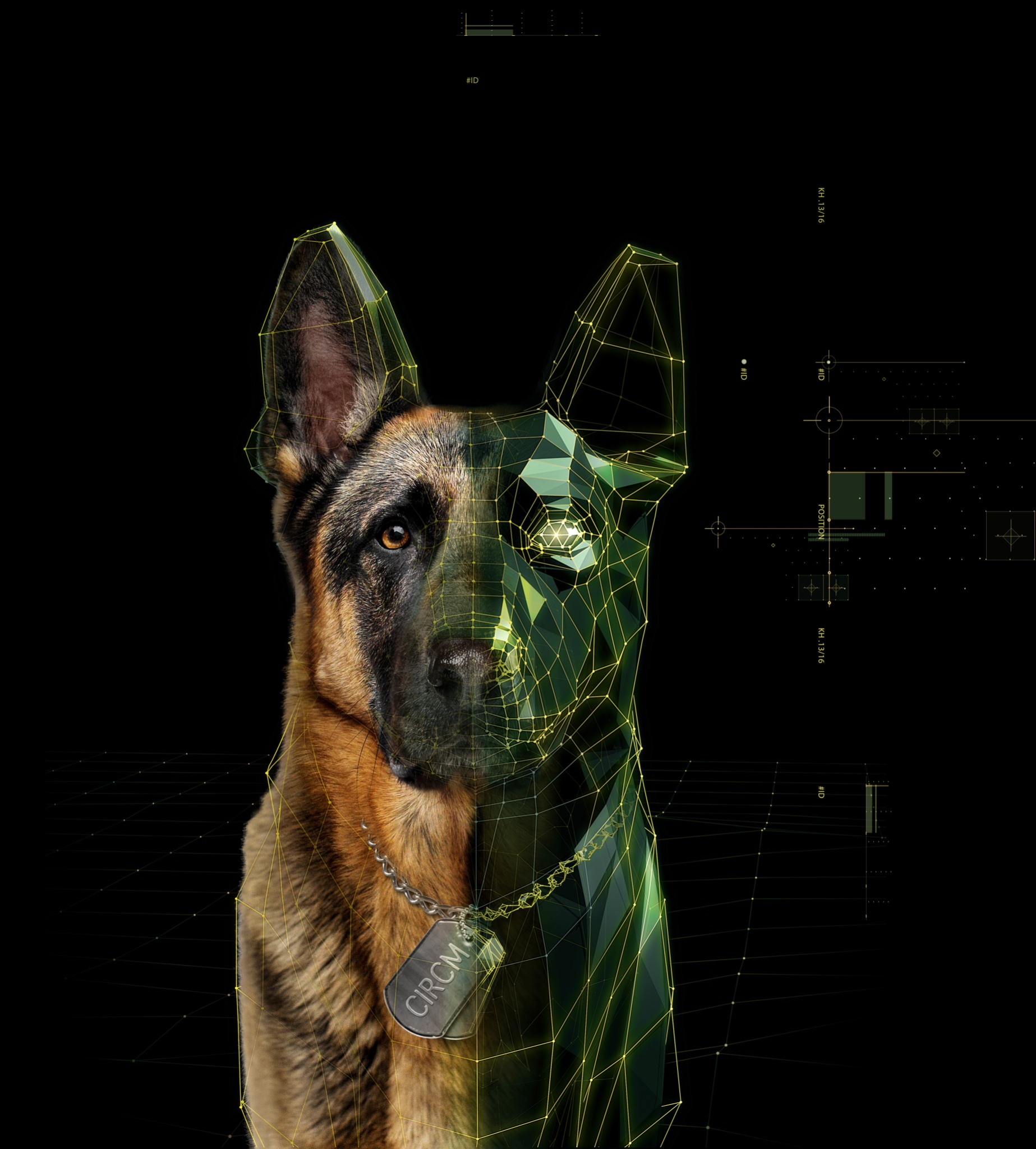 German Shepherd CGI composite